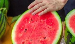 学校喜欢吃瓜,揭秘校园里的美食盛宴