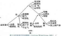 网络 吃瓜 的语义,网络热词背后的文化现象