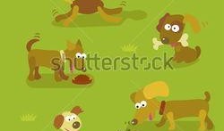 吃瓜吃的小狗视频动画