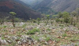 吃瓜群众珲春,吃瓜群众眼中的魅力之城