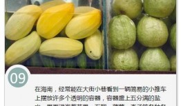 吃海南沙地蜜瓜,海南沙地蜜瓜的独特魅力