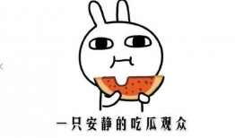 吃瓜兜风事件,揭秘网络舆论的风云变幻