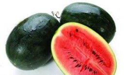 黑黑草梅吃瓜,揭秘瓜果界的神秘力量