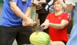 全家吃瓜完整版,一场全民参与的欢乐盛宴