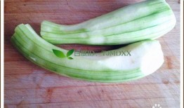 可炒菜吃的瓜,探索可炒菜瓜的多样烹饪艺术