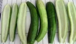 华华华酱吃瓜,揭秘娱乐圈幕后故事