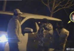 吃瓜认亲,一场跨越时空的亲情大揭秘