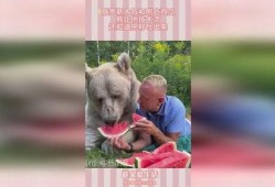 俄罗斯熊吃瓜,一场跨越国界的美食之旅