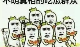 吃瓜吃的不明不白的,揭秘不明真相背后的真相