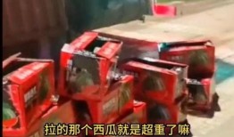 吃瓜的货车司机,揭秘瓜农与运输人的甜蜜生活