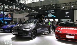 博兴特斯拉吃瓜,揭秘背后真相与争议