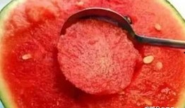 夏季人流可以吃螺纹瓜吗,畅享清凉螺纹瓜