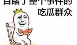 李双婷吃瓜,揭秘娱乐圈幕后故事