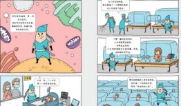 带你吃瓜讲马桶系列,马桶背后的那些“吃瓜”故事