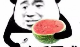 吃瓜的小呆,吃瓜小呆的趣味生活点滴