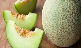 贡瓜是哈密瓜吗怎么吃,美味同源，食法各异