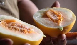 吃瓜的炸裂瞬间,炸裂现场揭秘！