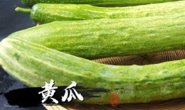 吃瓜网怎么更新