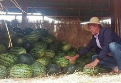 大哭皱眉吃瓜群众