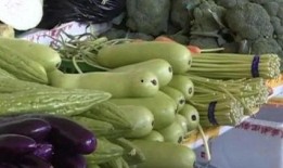 滨州吃瓜中毒案件,揭秘夏日美食背后的安全隐患