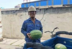 吃瓜群众幸福啊,揭秘网络时代的快乐源泉