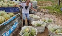 瓜农和吃瓜群众