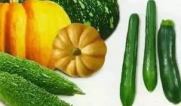 吃瓜金仁煦,揭秘娱乐圈背后的甜蜜与苦涩