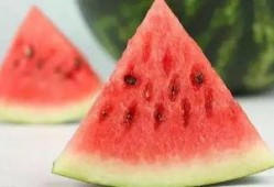 fruit酱吃瓜密码,探索fruit酱背后的神秘吃瓜密码