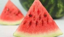 fruit酱吃瓜密码,探索fruit酱背后的神秘吃瓜密码