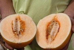 超级吃瓜全部,揭秘娱乐圈幕后风云