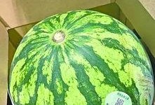 不教人吃瓜,不教人吃瓜的生活哲学