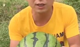 种l瓜吃丑瓜怎样表达,揭秘农业生产的意外之喜