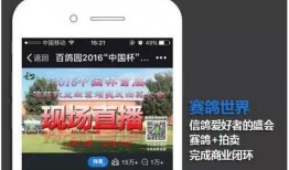 吃瓜怎么变现,吃瓜群众如何将“瓜”变成财富的秘诀解析