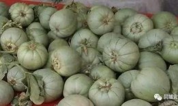 蜜罐带你吃瓜