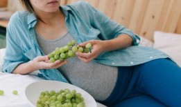 怀孕吃松瓜,松瓜助力健康孕育之旅