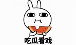 带你吃瓜回旋镖,揭秘网络舆论的蝴蝶效应