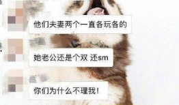 获得吃瓜动作,揭秘吃瓜群众的独特动作魅力