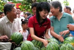 瓜农和吃瓜群众