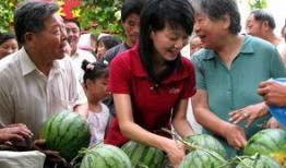 瓜农和吃瓜群众