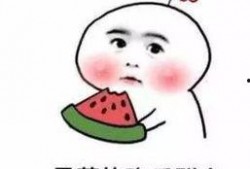 小白三兄弟吃瓜,小白三兄弟的甜蜜瓜趣