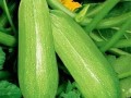 《吃瓜》中的冬瓜,清热解毒，养生佳品