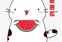 吃瓜抢瓜表情包可爱图片,吃瓜抢瓜表情包可爱瞬间大盘点