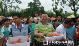 宣城最新吃瓜事件,揭秘网络热议背后的真相