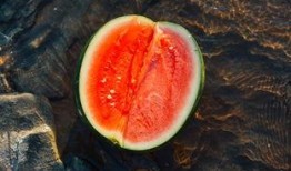 破茧吃瓜,揭秘娱乐圈的蜕变与真相