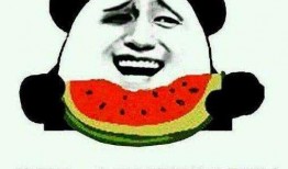 搬砖的吃瓜群众,搬砖群众视角下的吃瓜日常