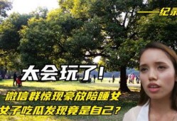 女子微信吃瓜,揭秘网络八卦背后的真相
