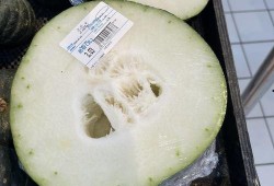 成都市吃瓜平台,解锁城市美食圈的秘密角落