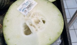 成都市吃瓜平台,解锁城市美食圈的秘密角落