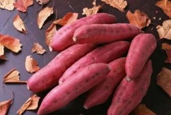 地瓜吃麻瓜,探寻传统美食的新篇章