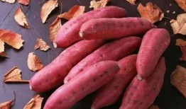 地瓜吃麻瓜,探寻传统美食的新篇章